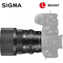 시그마 65mm F2 DG DN Contemporary (파나소닉 FP 라이카L마운트)
