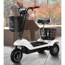 삼륜 전기 스쿠터 전동 세발 출퇴근용 오토바이 경량 레저 소형, 24V, B