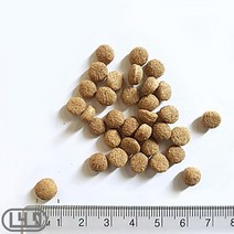 애견사료 균형영양 10KG 프렌치불독 불독 아펜핀셔 싼, 상세페이지 참조