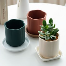 국산 실리콘 원형 소형 다육이 화분, 아치, 자몽 오렌지