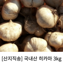 [국내산/국산] 멕시코감자 히카마 5kg 10kg 히카마5키로 히카마감자10키로 얌빈 멕시코감자히카마 히카마 히까마 히카마5kg 히카마감자10kg, 1개