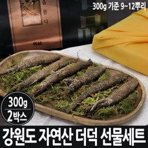 겨울더덕 강원도 야생 자연산 생 더덕 사포닌 산더덕 더덕주 효능 횡성 선물세트 국산, 2박스