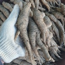 [팜쿡] 태백 고랭지 산더덕 대 (30-40뿌리) 1kg, 단품