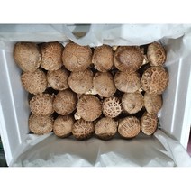 표고버섯 친환경 무농약 대용량 신선포장 문경시산림조합 버섯배지센터, 1개, 1kg (선물용)