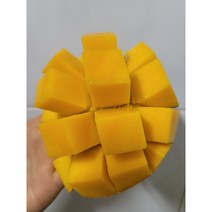 제주도 애플망고 최상품 특대 대 중 소, 제주도애플망고3kg중(8-9과)300g이상, 1개