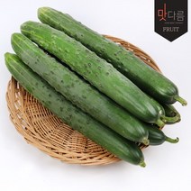 [맛다름] 취청오이 3개, 상세 설명 참조