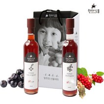 한터식품 자연담은 발효청 2종 선물세트 1호(오미자&아로니아청)