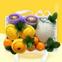 [보섭이네푸드]그린나래 프리미엄 과일혼합 실속 바구니, 없음, 단품