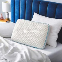 Tempur Pedic 세레니티 바이 템퍼페딕 메모리폼 스탠다드 베개