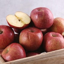다농이네 가정용 사과 흠과 5kg 30과내, 단품