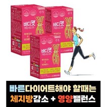 체지방 감소 살빼는데 도움되는 다이어트 도움되는 에너지 비타민 가르시니아 식약처인증 다이어트 보조제 체지방빼기 허벅지살 아랫뱃살 옆구리살 체중 빼기 빼는 법, 2통