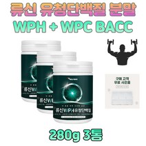 유청 농축 단백분말 아미노 BACC 가루 류신 wpc 로이신 운동선수 직장인 50대 60대 남자 남성 운동 단백질 보충제 프로틴 가루 분말 쉐이크 음료 물에타먹는 먹기편한 선물