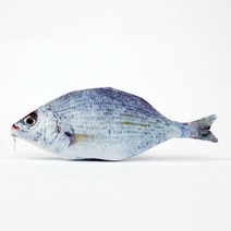 현모양처 팔닥팔닥 고중딩 학생 은어 물고기 생선 필기구 필통 학용품 필기구수납 펜슬케이스 볼펜파우치 펜슬파우치, 상세페이지 참조