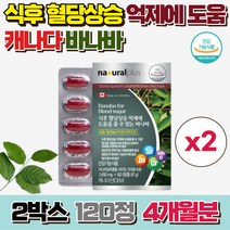 내츄럴플러스 식후 혈당상승 억제 바나바 코로솔산 바나바잎 추출물 혈당관리 영양제, 2개, 60정, 60정