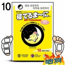 일본원산 네떼루마니 010포 수액패치 패치 수액시트 발패치 파스 목초 발파스 -