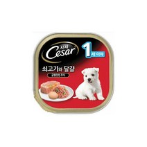 시저 강아지간식 습식 영양공급 소화촉진 쇠고기와달걀맛100g