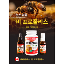 (1병) 캐나다 뉴트리돔 비프로폴리스 뿌리는 프로폴리스 스프레이 염증에 좋은 비염 면역력 영양제 캡슐 120정