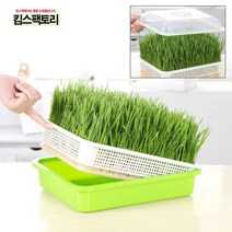 뚜껑있는 새싹재배기 수경재배기 새싹보리 채소 키우기 배란다 텃밭상자, 새싹재배기 그린