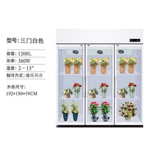 꽃냉장고 서리방지 꽃가게 디스플레이 쇼케이스 공냉식 양문형 소형 3도어, 흰색  3도어