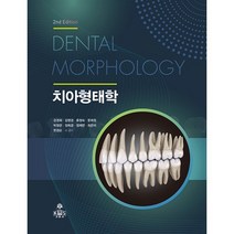 치아 형태학, 강경희,김영경,류정숙,문희정,박정란,장희경,정재연..., kms(고문사)