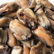 더싱싱 [더싱싱] 여수 알홍합 3kg, 1
