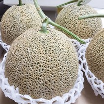 참다올 계절과일-머스크메론 2kg내외 1수 공유하기 페이스북 트위터 닫기