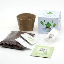 틔움 세상 화분 재배 키트 팜팜 농장 시리즈 모종 키우기 텃밭 미니 정원 아파트 베란다, 상추, 옵션선택