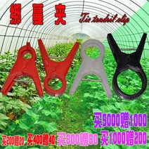 오이 집게 덩굴 집게 토마토 오이 플라스틱 집게 집게 집게 Q2-49151, 옵션13