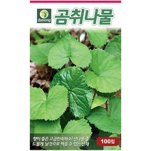 다농 참비름 1g - 씨 씨앗 참비름씨앗 참비름씨 비름 나물씨앗 민속채소 채소씨 채소씨앗 비름씨 비름씨앗, 16_다농_곰취나물(100립)