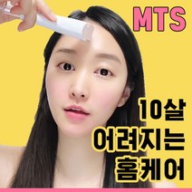 입문자용 초보자용 허니콕 MTS롤러 홈케어 화장품흡수 뷰티디바이스, 베이직롤러, 선택안함