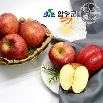 [지리산함양]안의농협 사과선물세트5kg 14-16과(당도12Brix이상), 단품