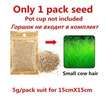이끼키우기 미니 크리스탈 유리 수족관 잔디 산호 심기 냄비 장식 물고기 탱크 수생 식물 이끼 화분 실린더 컵128929, 1pcs, samll hair