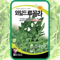루꼴라 씨앗 2000립 씨앗 희귀 식물 종자 와일드 Argula Rocketsalad, 단품