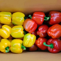 산지직송파프리카 파프리카농장 친환경파프리카 2.5k 5k, 파프리카 빨강_2.5kg