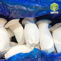 국내산 새송이버섯 2kg, 단품