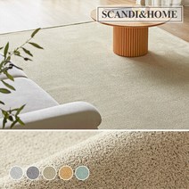 [스칸디앤홈] 항균 블렌드 단모 러그 워셔블 카페트 100x150 5colors