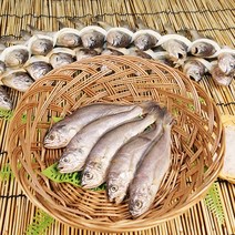 법성포 영광굴비 20미 실속 선물세트, 5.명품굴비2호 2.0kg