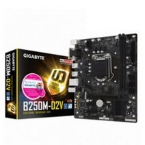 GIGABYTE GA-B250M-D2V 듀러블에디션 (제이씨현)