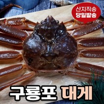 [당일발송] 영덕대게 생물 자숙 포항 구룡포 국내산, 2.특가 영덕대게 중 (9.6~9.9cm) 3미
