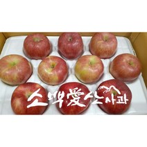 [소백애산사과] 경북영주 부사 소백사과영농 특대과/대중과/중소과/기스용 3kg/5kg/10kg, 기스용[10키로/35~40개]