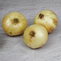 기찬꾸러미농산물 국내산 햇 양파 1kg