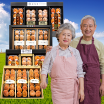 먹사부 상주 곶감 선물세트 반건조 곶감 반건시 반시 건시 설 추석 선물 세트 명절 선물 세트 말린 곶감 실속형 가정용 곶감말이 감말랭이 햇 곳감 꽃감 곷감 곧감 제수용 선물용, V.금란지교6호