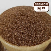 건강담은잡곡 테프 철분 미네랄 당뇨도움 빈혈도움 성장도움, 단품