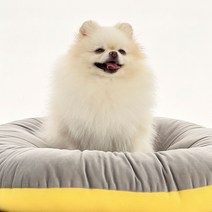 펫어펫 강아지방석 애견 고양이 양면 매쉬 워셔블 방석, 크롬옐로우