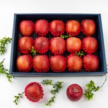 [익산원예농협] 정성을 가득담은 사과 선물세트 5kg(14-16과)