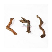 유목가지 10~15cm [3개]