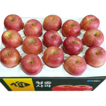 청송탑꿀사과 5kg 12-13과(선물용 특대), 청송탑꿀사과 10kg 24-29과(선물