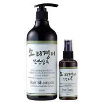 소리쟁이샴푸+토닉/지루성두피/가려움/비듬/탈모 지성