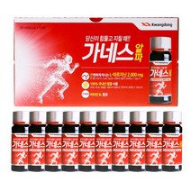 광동 가네스 알파 100ml x20병 만성 피로 회복 음주전후 음료, 1박스 (10병)
