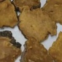 뽕상황버섯 건재 600g, 1개